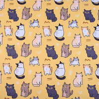 Digital Printed 210D Oxford Fabric 