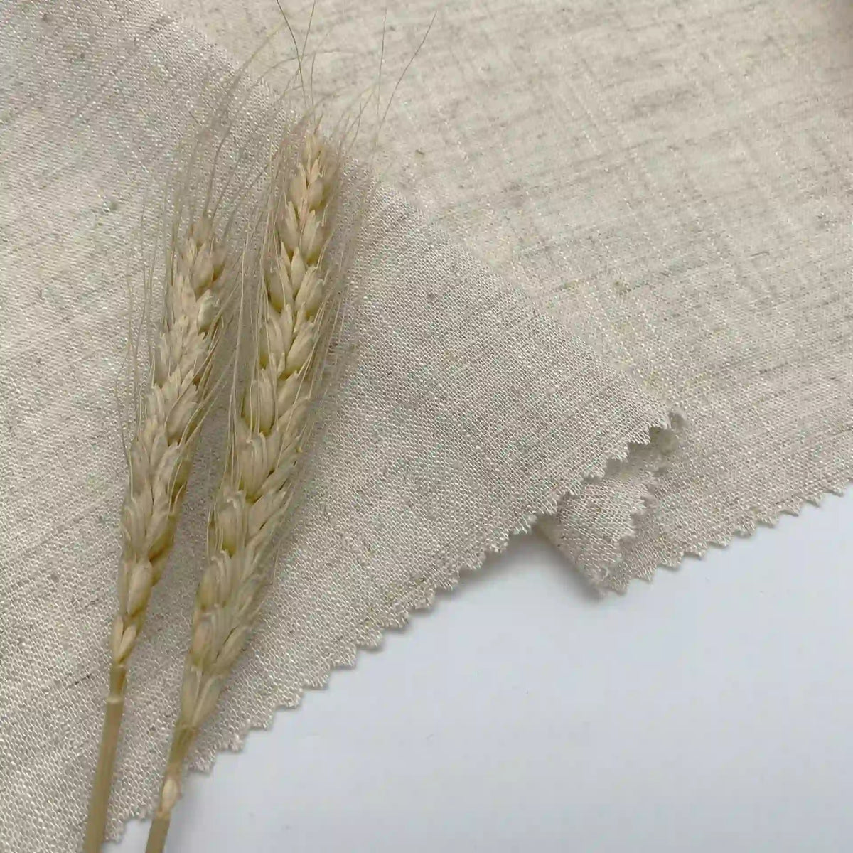 Two dried wheat stalks rest on a piece of Longan Craft’s multicolor linen and viscose fabric, ideal for summer projects, with zigzag-cut edges displayed on a plain white background.